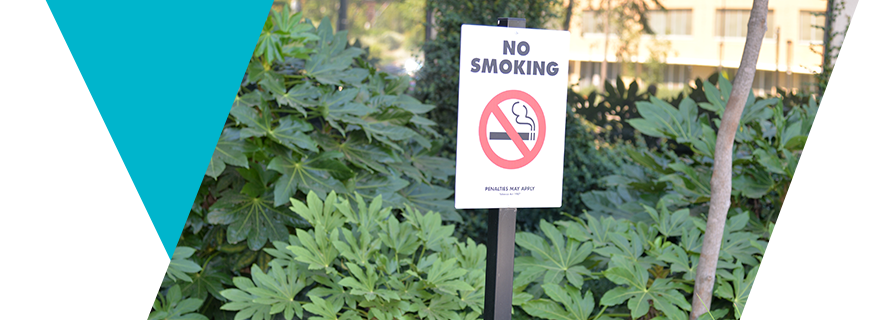 Smoke Free